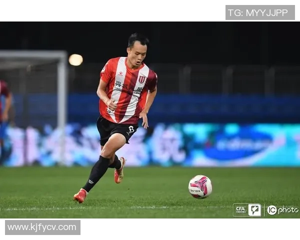 杭州排球队以73分领跑精英赛积分榜展现强劲实力